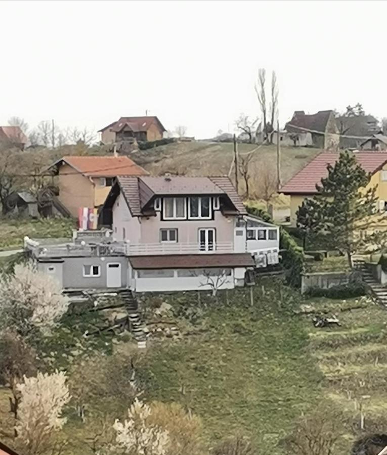 Molvice Panorama Apartman מראה חיצוני תמונה
